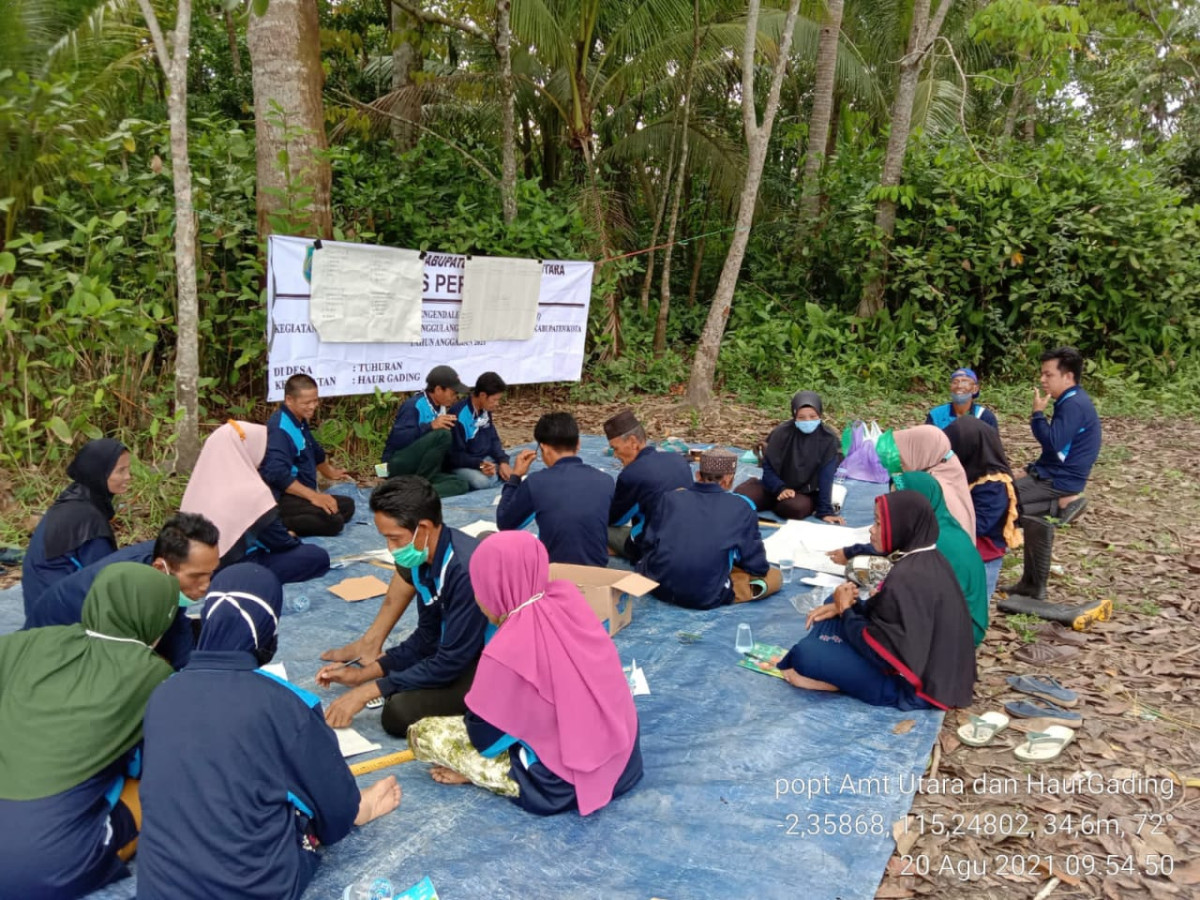 Pertemuan Sekolah Lapang  Pengendalian Hama Terpadu  Poktan Kindai Desa Tuhuran (edisi : Pengamatan Agroekosistem)